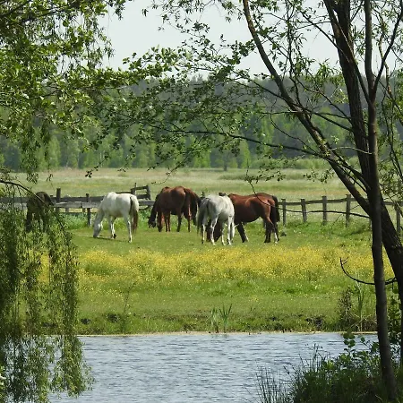 Gospodarstwo Kaczynski Ostroleka Farm stay Wyszel