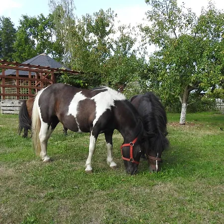 Gospodarstwo Kaczynski Ostroleka *