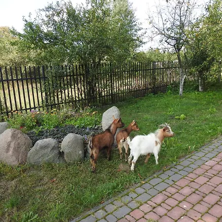 مزرعة للإقامة Gospodarstwo Kaczynski Ostroleka