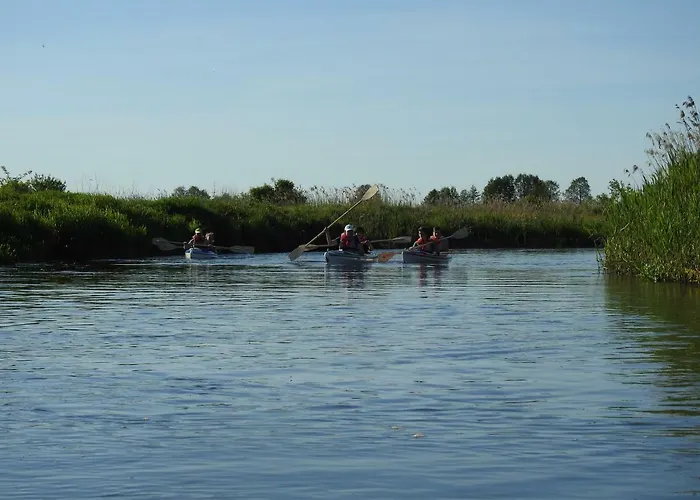 Gospodarstwo Kaczynski Ostroleka *