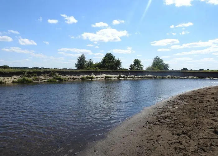 Gospodarstwo Kaczynski Ostroleka * Wyszel