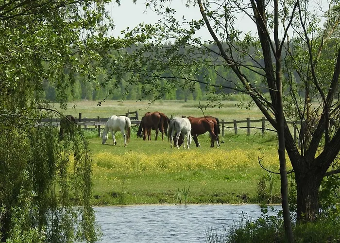 Gospodarstwo Kaczynski Ostroleka Agroturismo Wyszel