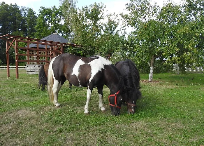 Gospodarstwo Kaczynski Ostroleka *