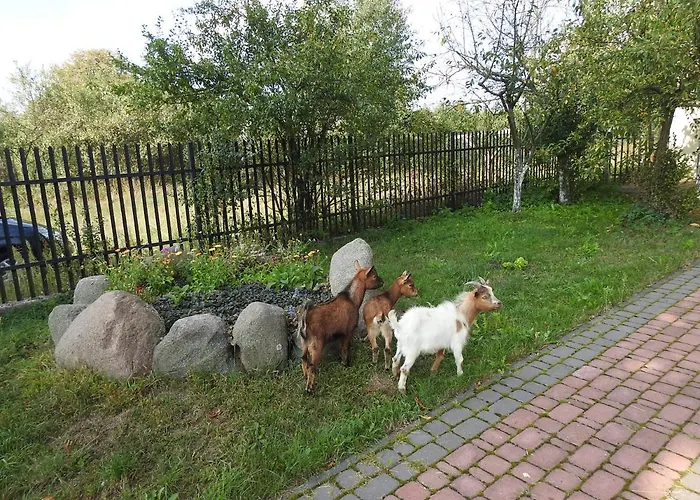 Agroturismo Gospodarstwo Kaczynski Ostroleka